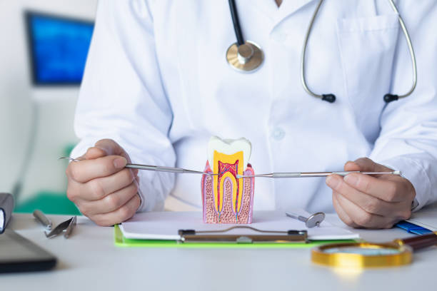 Best Knocked-Out Tooth (Avulsed Tooth) Treatment in Shark River Hills, NJ